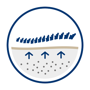 Ecosa supports your spine